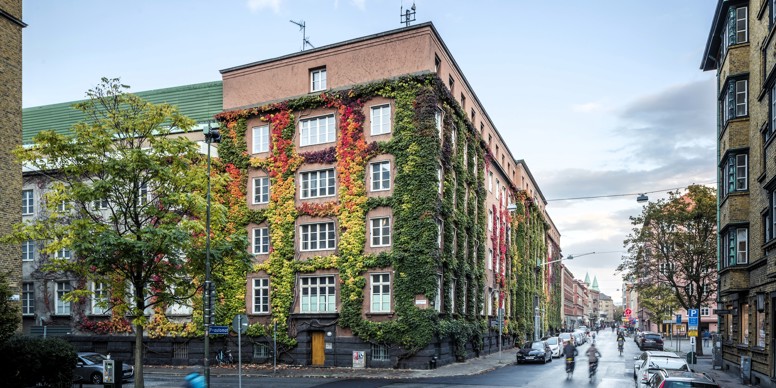 Malmø  husfacader med slyngplanter